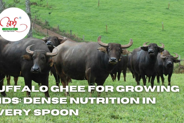 Buffalo Ghee for Growing Kids: Dense Nutrition in Every Spoon