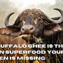 Why Buffalo Ghee Is the Hidden Superfood Your Kitchen Is Missing