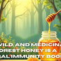 Raw, Wild, and Medicinal: Why Forest Honey Is a Natural Immunity Booster
