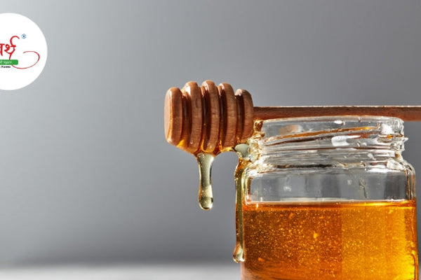 Wild Forest Honey: Nature’s Liquid Gold for Health & Wellness