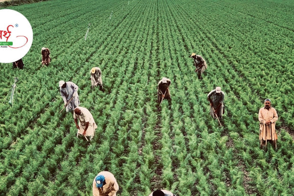 The Power of Farm-Fresh Superfoods: Why Choosing Natural Matters