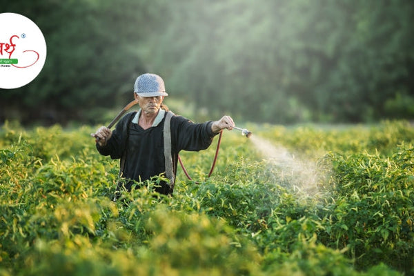 The Power of Traditional Farming: Why Organic & Natural Foods Are the Future