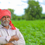 Pure Wellness, Traditional Taste: Discover Farm-to-Table Goodness with Arth Agro Farms
