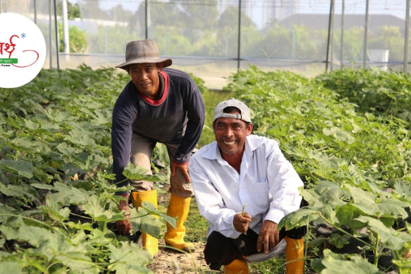 The Future of Organic Farming: How Arth Agro Farms is Leading the Way