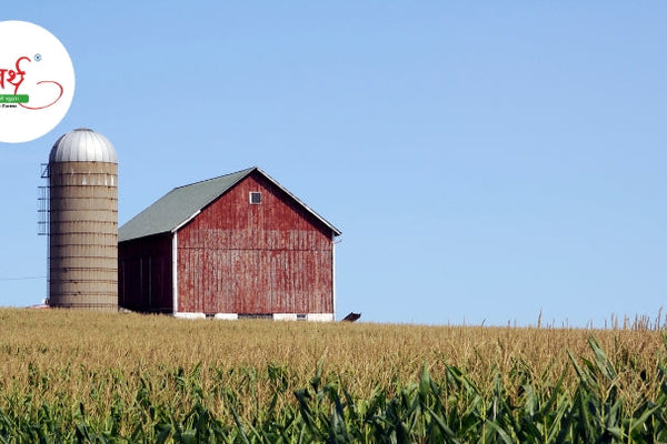 The Future of Sustainable Farming – How Arth Agro Farms is Leading the Way
