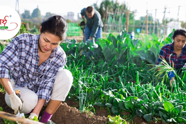 Rediscovering the Power of Traditional Superfoods – How Arth Agro Farms is Bringing Back Authentic Nutrition