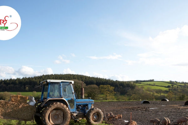 The Future of Sustainable Farming: Preserving Nature, Nurturing Health