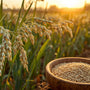Arth Agro Farms