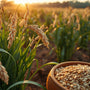 Arth Agro Farms