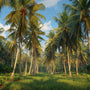 Arth Agro Farms