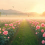 Arth Agro Farms