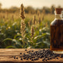 Arth Agro Farms