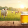 Arth Agro Farms