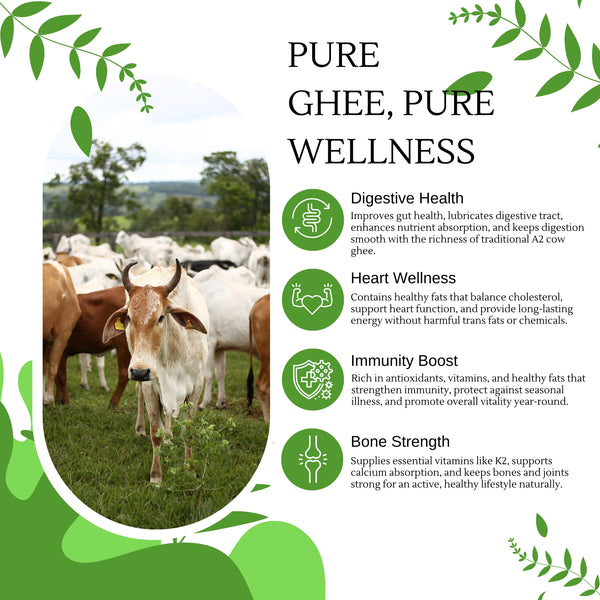 Arth Agro Farms – Pure A2 Desi Cow Ghee | Authentic Bilona Method | Healthy & Organic